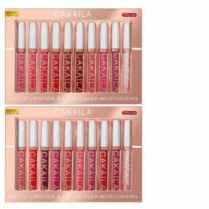 Matte Vloeibare Lipstick Transparant Clear Lip Olie Make-Up Set 10 stks/doos Waterdichte Lg-Blijvende Naakt Veet Lipgloss Tint lipgloss a1Wx #