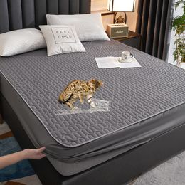 Matras Waterdicht Dikker Protector Huidvriendelijke Duurzaam Hoeslaken Bed Cover Latex Mat 150x200 180x200 160x200 230721