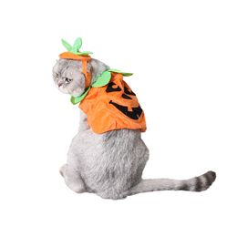 Mead Pet Cross-border E-Commerce Pet Halloween Teddy Hond Pompoenkostuum Spookfestival Katkostuum Hoed