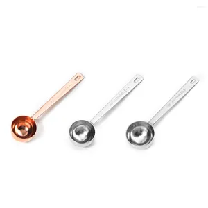 Outils de mesure Coffee Spoon Scoop Accessoires Home Tool polyvalent