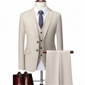 Mannen Boutique Suits Sets Bruidegom Bruiloft Dr Suits Pure Kleur Formele Slijtage Busin 3 P Sets Jassen + Broek + Vest Pakken Maat S-5XL t5xA #
