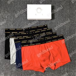 Hommes Designer Shorts Sous-Vêtements De Luxe Hommes Sport Boxers Sous-Vêtements Sexy Mode 6 Couleurs Shorts