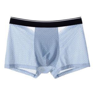 Men Ice Silk Underwear Mesh Sexy Breathable Boxer Shorts Transparante briefs Bugle Pouch slipje Mannelijk Zie door Trunk Sexy Pant