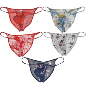 Mannen Mesh Pouch Bikini Slips Sheer Mini Boxer Ondergoed Beachwear Looien Sexy Shorts Braziliaanse Micro Broek