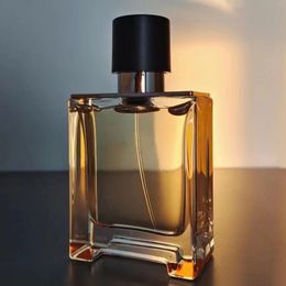 Perfume para hombres 100ml Terre Nice Smelling Parfum Spray Perfumes Regalo Colonia para hombres Parfum Homme