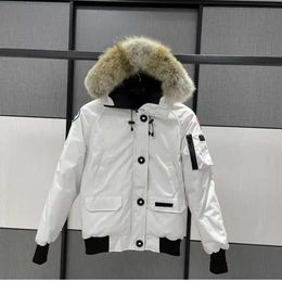 Hommes Pilot Down Jacket Real Wolf Fourrure À Capuchon Toile Parkas Lettre Patch Poches À Glissière Chaud Épais Vêtements Designer Wom A W En Gros 2 Pièces 10% Réduction C