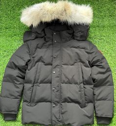 Heren pufferjack Ganzendonsjas Parka Wyndham Heren Designer Echt Coyote Bont Outdoor Windjack Jassen Bovenkleding Capuchon Fourrure Manteau Hiver Doudoune