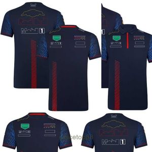 Nouveaux T-shirts pour hommes et femmes Formule 1 F1 Polo Vêtements Top Team Racing Driver Motorsport Season Fans Tops Jersey Plus Size Wn57