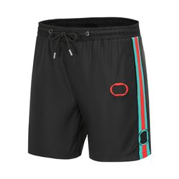 Heren Beach Board Shorts Bermuda Men Swim broek mode Swimpak Boid Board Shorts Quick Drying Fitness 2023