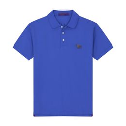 Polos masculins Polos de haute qualité supérieur pour hommes / été de coton pur de haute qualité, T-shirt à manches à manches courtes à séchage rapide