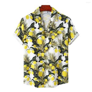 Chemises décontractées pour hommes 2023 été jeunesse hommes haut hawaïen plage revers lâche coton lin mince rue à manches courtes chemise