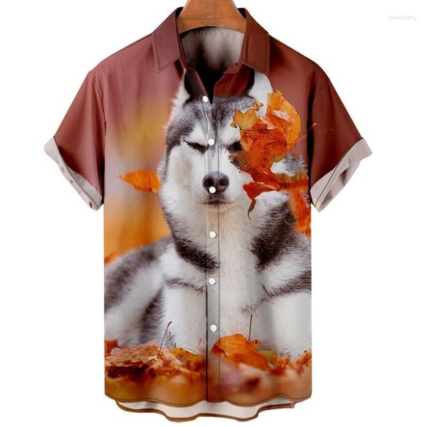 Chemises décontractées pour hommes Chemise animale pour hommes 3d Dog Husky Print Vêtements Quotidien Tops à manches courtes Beach Party Sweat-shirt doux hawaïen