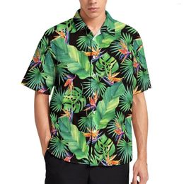 Casual shirts voor heren Jungle Tropical Leaf Bird Print Hawaiiaans shirt korte mouwen trendy blouses man groot formaat