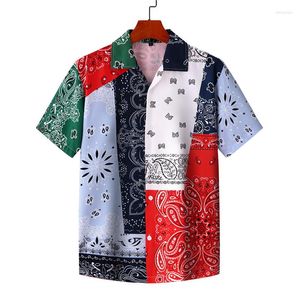 Hommes chemises décontractées hommes drôle Hit couleur bloc imprimé tropical été manches courtes boutons lâches chemise hawaïenne Blouse hommes