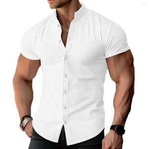 Chemises décontractées pour hommes Cold-Clerson Boungle Boungle Boulied Down 1 PC confortable Fitness Muscle Polyester Sleeve courte