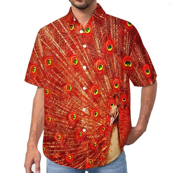 Chemises décontractées pour hommes plumes de paon rouge mignon Animal chemise de plage hawaïen esthétique Blouses mâle imprimé 3XL 4XL