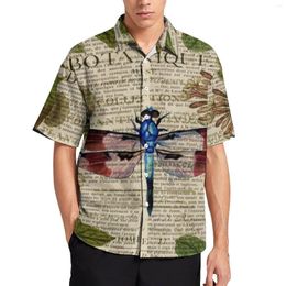 Chemises décontractées pour hommes Spaper Print Beach Shirt Modern Leaves Botanical Art Hawaii Y2K Blouses Short-Sleeve Graphic Clothing Plus Size