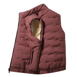 Colete de lã de design clássico masculino ativo gola zip up jaqueta térmica sem mangas para outono inverno ao ar livre 240109