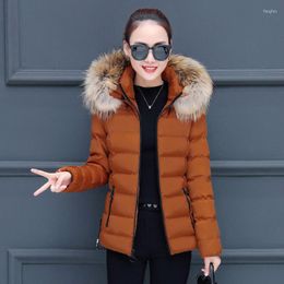 Heren Down 2023 Designer Peded Jacket Autumn and Winter Products Koreaanse stijl katoen dames kort slanke quilted