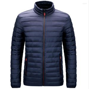 Hommes vers le bas 2023 printemps automne hommes rayé mode décontracté grande taille coton veste américain vêtements Casaco Masculino Jaqueta Giyim Baggy