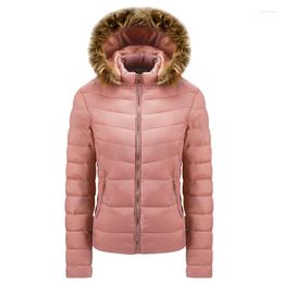 Heren Down Cross Border Cotton Peded Dameskleding Herfst en winter Hapleed Mao Collar Coat Amazon Padde