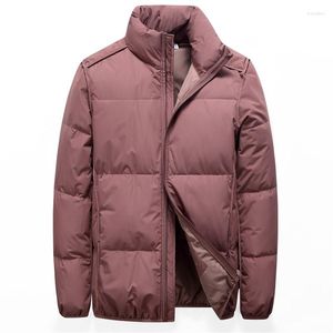 Hombres abajo hombres invierno grueso frío cuello de pie rosa gris negro chaqueta cálida rompevientos Casual Parka pato abrigo prendas de vestir