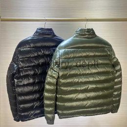 Parkas pour hommes 2023 nouvelle doudoune légère pour hommes visage brillant col debout court mode affaires veste décontractée en duvet d'oie blanche manteau chaud J231010