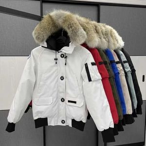 Parkas pour hommes Hommes Pilot Canadian Jacket Real Wolf Fourrure À Capuchon Toile Lettre Patch Poches À Glissière Chaud Épais Outwear Designer Gooses Femmes Manteau D'hivervn72