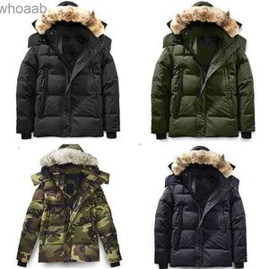 Parkas de plumón para hombre Chaqueta de invierno Parka acolchada con capucha Abrigo Wyndham grueso Chaquetas de plumón para hombre Abrigos cálidos para caballeros Protección contra el frío Tamaño a prueba de viento XS-3XL HKD230911