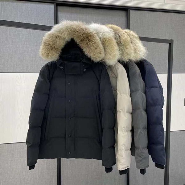 Parkas de plumón para hombre Wyndham Canada Putian versión Big Goose 29 chaqueta de plumón resistente al frío para hombre y mujer 3808M