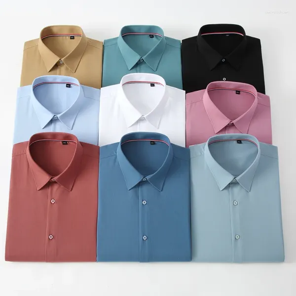 Camisas de vestir para hombres 2023 Fibra de bambú Manga larga Hombres Ajuste regular Material de microfibra No hierro Profesional Casual Colores puros