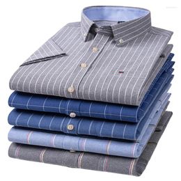Chemises habillées pour hommes 4XL-5XL-6XL-7XL pur coton Oxford pour hommes à manches courtes chemise à carreaux rayé mâle affaires formalité sociale haut
