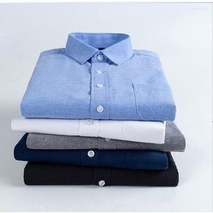 Chemises habillées pour hommes 5 couleurs M-4XL haute qualité coton hommes à manches longues col rabattu chemise solide affaires formel hommes