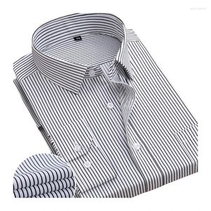 Chemises habillées pour hommes chemise à rayures d'affaires Style coréen costume ajusté entretien à manches longues en blanc pur grande taille M-6XL