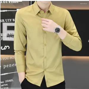 Chemises de robe pour hommes chemises en coton à manches longues hommes jaunes jeunes coréennes de mode coréenne couleur solide de haute qualité plus taille