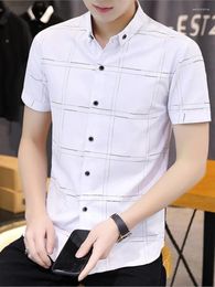 Chemises robes pour hommes chemises d'été coréen Coton Slim Men de la mode jeune