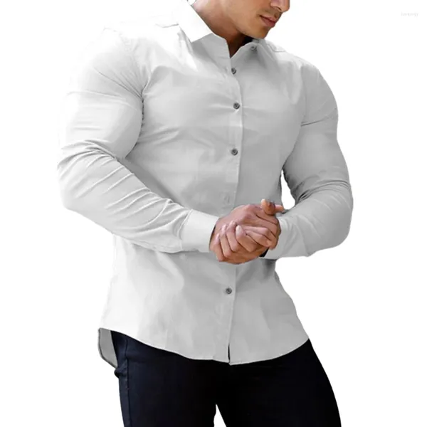 Camisas de vestir para hombres Camisa para hombre Oficina Color sólido Botón de marca Tops Cómodo Manga larga suave