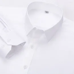 Chemises habillées pour hommes non fer à tampon de base solide de base solide commerciale formelle coton coton mâle à manches longues