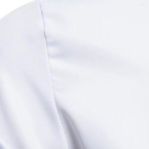 Chemises habillées pour hommes, chemise à revers de couleur unie, chemisier décontracté à manches longues, haut boutonné pour l'automne, noir blanc bleu rose