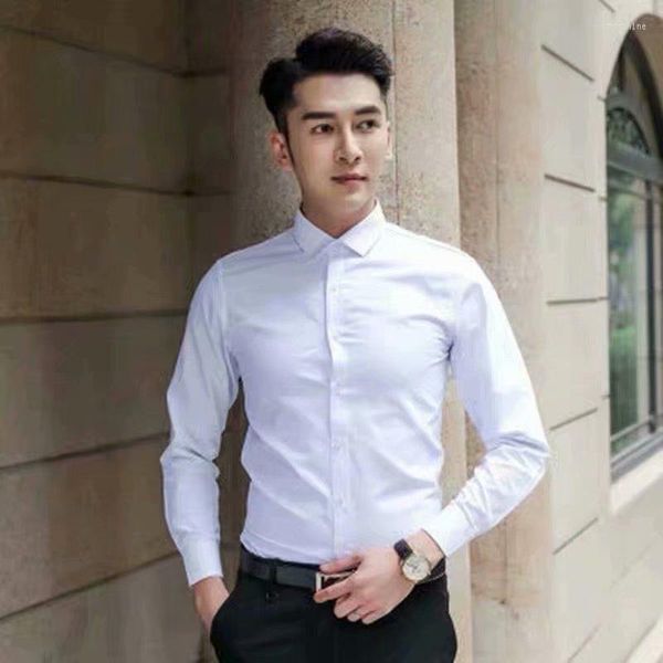 Chemises habillées pour hommes printemps et automne chemise blanche à manches longues Version coréenne pour hommes Slim Fit affaires vêtements de travail formels mariage
