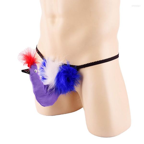 Tanga con bolsa para pene para hombre, ropa interior transpirable, Sexy, divertido, pájaro grande, Tanga Gay, juego de rol