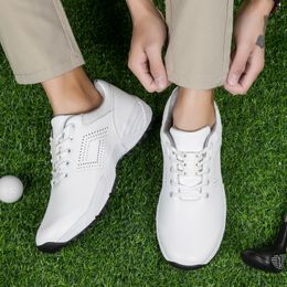 Chaussure de golf masculine Outdoor Lightweight Golf Shoe Golf Joueur Classic Men's Comfort Training Shoe Size 40-46