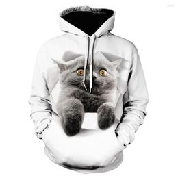 Sweats à capuche pour hommes 2023 Animal mignon chaton Harajuku conception 3D sweat à capuche rue décontracté mode vêtements hommes et femmes sport Hip Hop