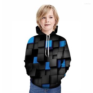 Sweat-shirt à capuche pour hommes et enfants, imprimé bloc de couleurs en 3D, vente en gros et au détail, printemps et automne, 2023