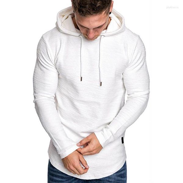 Sweats à capuche pour hommes 2023 hommes couleur unie ourlet incurvé cordon sweat mode hommes à capuche printemps automne à manches longues Hip Hop mâle