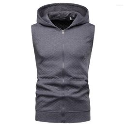 Heren Hoodies 2023 Mens Cube Patroon mode mouwloze jas sweatshirt solide ritsjagen Casual sportkap in de kap Vestjas tops