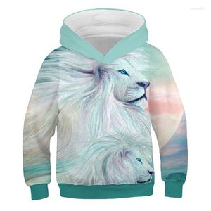 Heren Hoodies 3D 2022 Design Cool Animal Digital Gedrukte sweatshirts Hoodie Men Casual Pocket Cap pullover Sweats Jersey