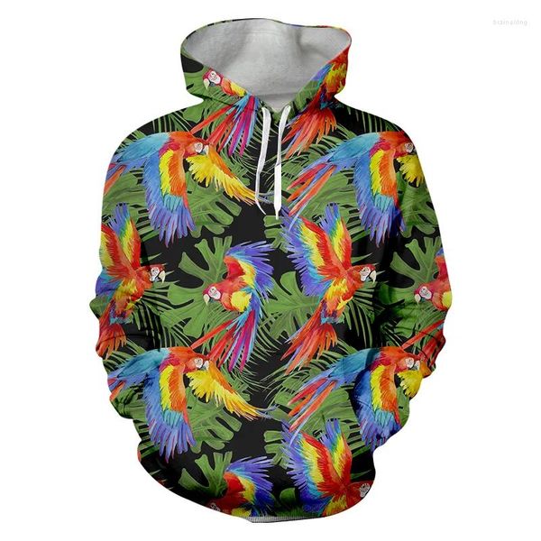 Sudaderas con capucha para hombre, Sudadera con capucha y sudadera con estampado 3D de loro, pájaro, Animal, moda Harajuku, chaqueta informal Unisex para hombre, Jersey, Dropship