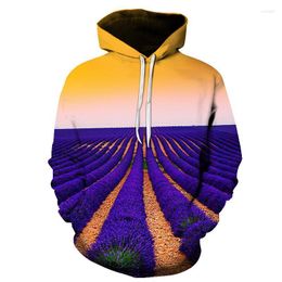 Heren Hoodies Blue Field Landschap Landschap Hape Men/Vrouwen Hoed 3D Sweatshirts Print kleurrijke nebula dunne herfst tops pullovers