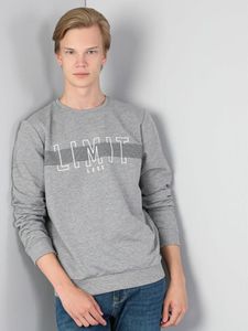 Sweats à capuche pour hommes Colins Men Regular Fit Grey Heather Sweatshirt CL1045335